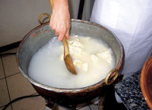 laboratorio del formaggio per bambini